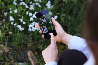 Açık havada akıllı telefondan bitki tanıma uygulaması kullanan bir kadın.