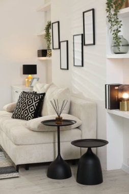 Rahat bir kanepe, sade kahve masaları ve farklı dekorlar. İç tasarım