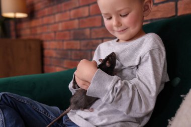 Evdeki kanepede evcil faresi olan küçük çocuk.