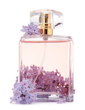 Parfüm ve güzel leylak çiçekleri beyaza izole edilmiş.