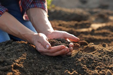 Tarlada toprak yığını tutan adam, yakın plan.