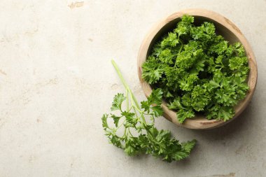Işık masasında taze maydanoz, üst manzara. Metin için boşluk