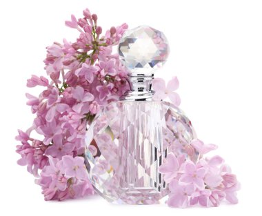 Parfüm ve güzel leylak çiçekleri beyaza izole edilmiş.