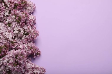 Renkli arka planda güzel leylak çiçekleri, manzaranın üstünde. Metin için boşluk