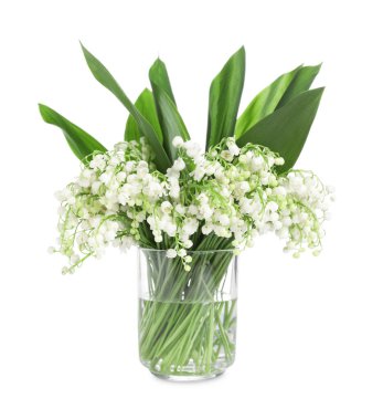 Bir buket güzel zambak vadi çiçekleri bembeyaz