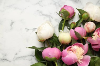 Beyaz mermer masanın üzerinde güzel şakayık çiçekleri olan tebrik kartı, düz yatıyordu. Metin için boşluk