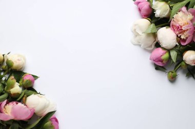 Beyaz arka planda güzel şakayık çiçekleri olan tebrik kartı, düz yatıyordu. Metin için boşluk