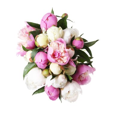 Güzel şakayık çiçeklerinden bir buket, beyaz, üst manzara