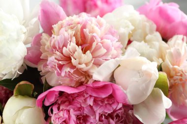 Arka plan olarak güzel şakayık demeti, yakın plan.