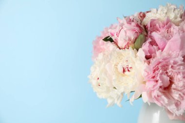 Açık mavi arka planda vazodaki güzel şakayıklar, yakın plan. Metin için boşluk