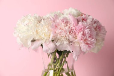 Pembe arka planda vazodaki güzel şakayıklar, yakın plan