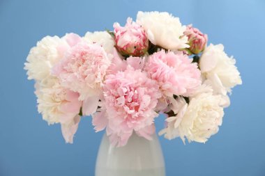 Açık mavi arkaplanda vazodaki güzel şakayıklar, yakın plan.