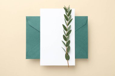 Boş davetiye kartı, zarf ve bej arka planda yeşil dal, üst görünüm