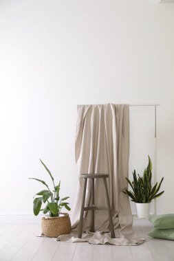 Stüdyoda farklı saksı bitkilerinin olduğu fotoğraf bölgesi.