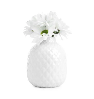 Beyaz vazoda izole edilmiş seramik vazodaki güzel kasımpatılar.