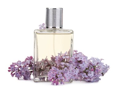 Parfüm ve güzel leylak çiçekleri beyaza izole edilmiş.