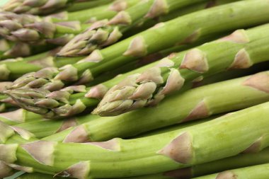 Arka plan olarak pek çok taze çiğ kuşkonmaz mızrağı, yakın plan