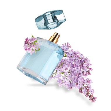 Bir şişe çiçek parfümü ve beyaz arka planda çiçek açan leylak.