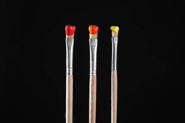 Siyah arkaplanda renkli üç fırça, yakın plan.