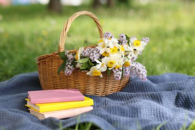 Yığınla kitap, battaniye ve hasır sepet. Yeşil çimlerin üzerinde çiçekler.