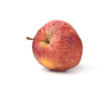 Bir çürük elma beyazda izole edilmiş.