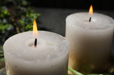 Masada yanan mumlar ve yeşil yapraklar, yakın plan.