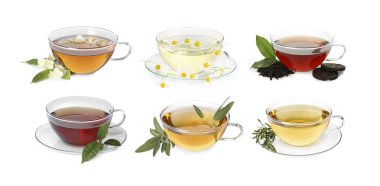 Beyaz ve sette izole edilmiş cam bardaklardaki farklı çay türleri.