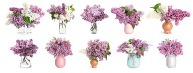 Beyaz arka planda vazolarda leylak buketler, kolaj.