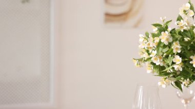 Evdeki güzel yasemin çiçekleri, yakın çekim. Kamera sağa hareket ediyor
