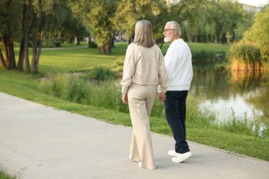 Güzel yaşlı çift göl kenarında birlikte yürüyor, parkta, mesaj için yer var.