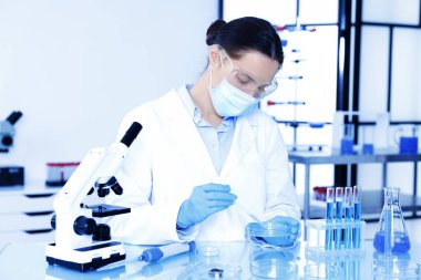 Laboratuvardaki masada Petri kabında numuneyle çalışan bilim adamı