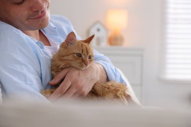 Evde sevimli kızıl kedili bir adam var.