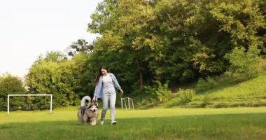 Gülümseyen kadın sevimli Alaska köpeğiyle yeşil çimlerin üzerinde yürüyor, alçak açılı. Metin için boşluk