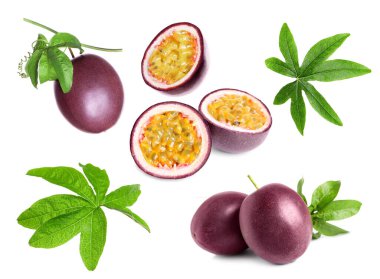 Tutku meyveleri ve yeşil yapraklar beyazlar üzerinde izole edilmiş.