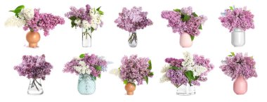 Beyaz arka planda vazolarda leylak buketler, kolaj.