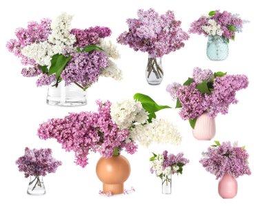 Beyaz arka planda vazolarda leylak buketler, kolaj.