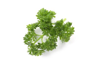 Beyaz maydanozlu taze maydanoz.