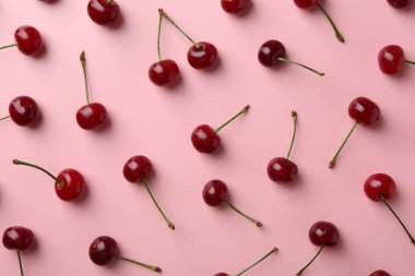 Pembe arka planda taze kirazlar, düz uzanmış.