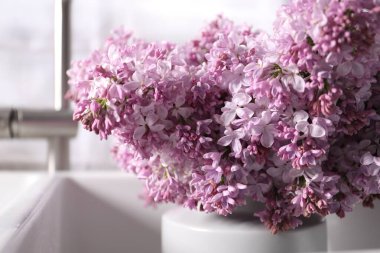 Mutfak lavabosunda güzel leylak çiçekleri, yakın çekim.