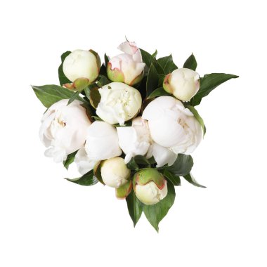 Güzel şakayık çiçeklerinden bir buket, beyaz, üst manzara