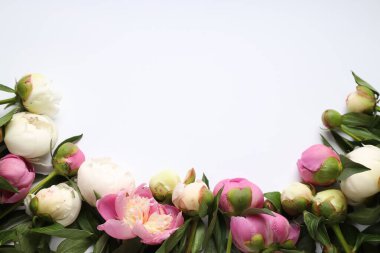 Beyaz arka planda güzel şakayık çiçekleri olan tebrik kartı, düz yatıyordu. Metin için boşluk