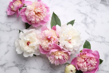 Güzel şakayıklar ve yeşil yapraklar beyaz mermer masada, düz yatıyordu.