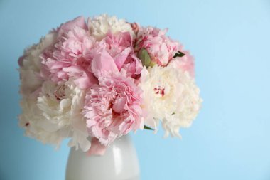 Açık mavi arka planda vazodaki güzel şakayıklar, yakın plan. Metin için boşluk