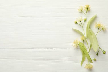 Güzel ıhlamur çiçekleri ve beyaz ahşap masa üzerinde yapraklar, düz yatıyordu. Metin için boşluk