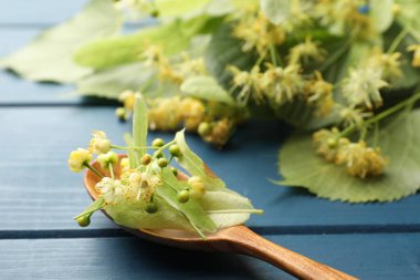 Kireç çiçekli dallar, yeşil yapraklar ve mavi ahşap masada kaşık, yakın plan.