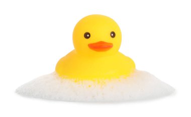 Beyaz bir ördek ve köpük.