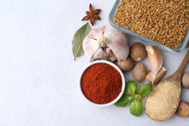 Açık gri masada farklı aromatik baharatlar var. Metin için boşluk