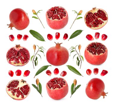 Nar ve yeşil yapraklar beyaza bürünmüştür.