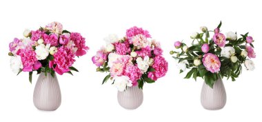 Beyaz vazolardaki şakayık buketleri.