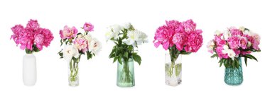 Beyaz vazolardaki şakayık buketleri.